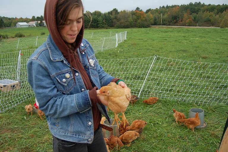 Poultry processing 101