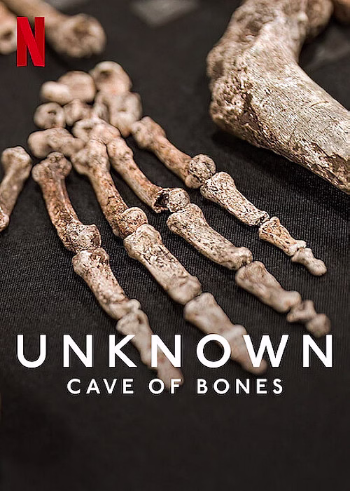 Fossilized bones displayed on fabric