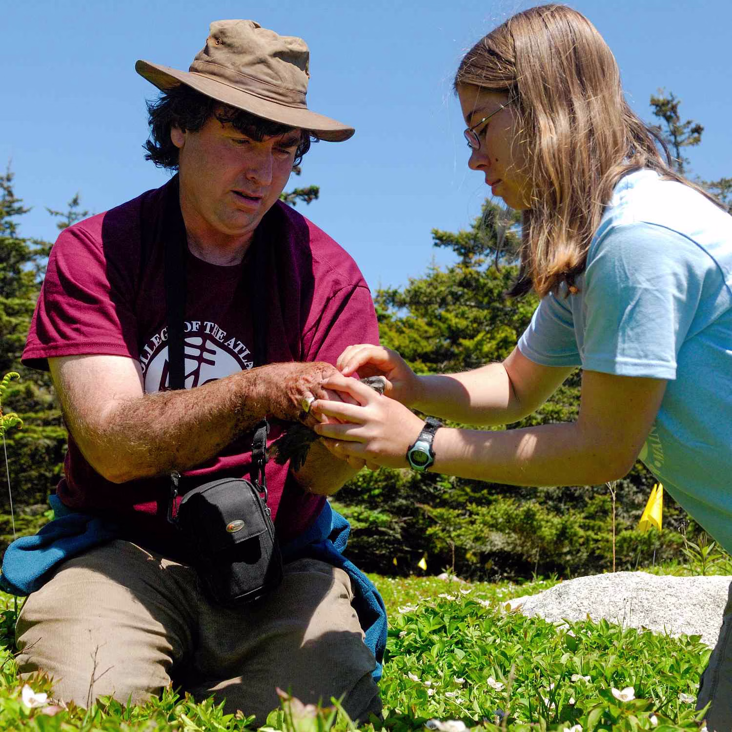 Dr. John Anderson assists a student with a herring gull chick at the COA Alice Eno Field Research Station on Great Duck Island. Anderson