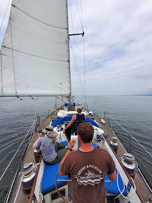 Sailing on calm waters with crew