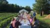 people seated at a long table in a field