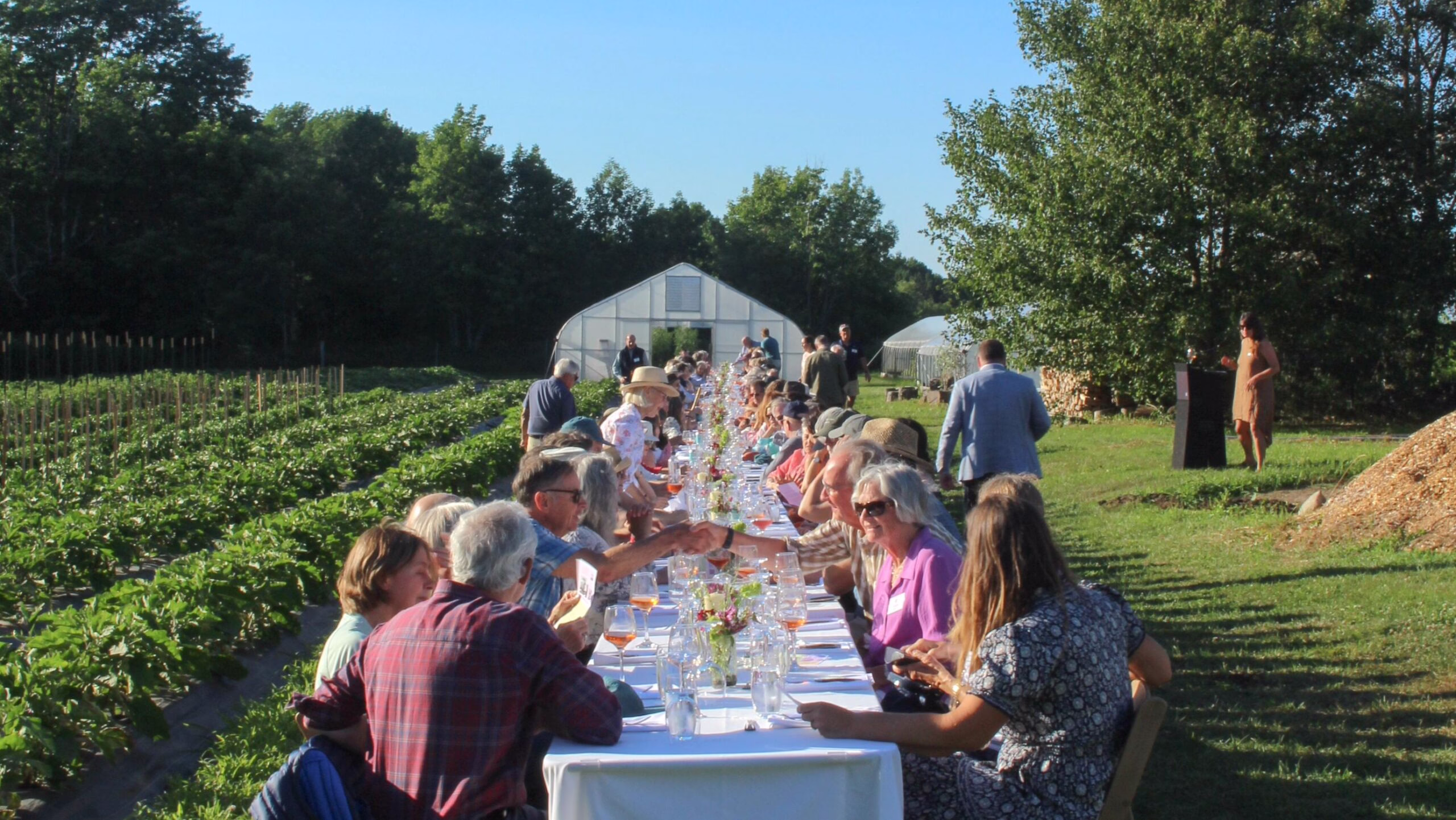 people seated at a long table in a field
