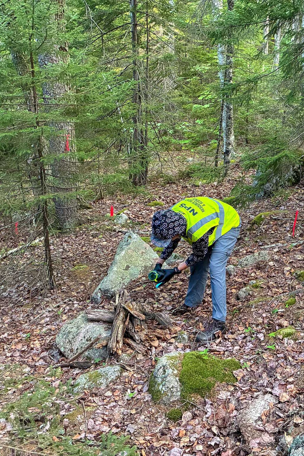 Person working in forested area