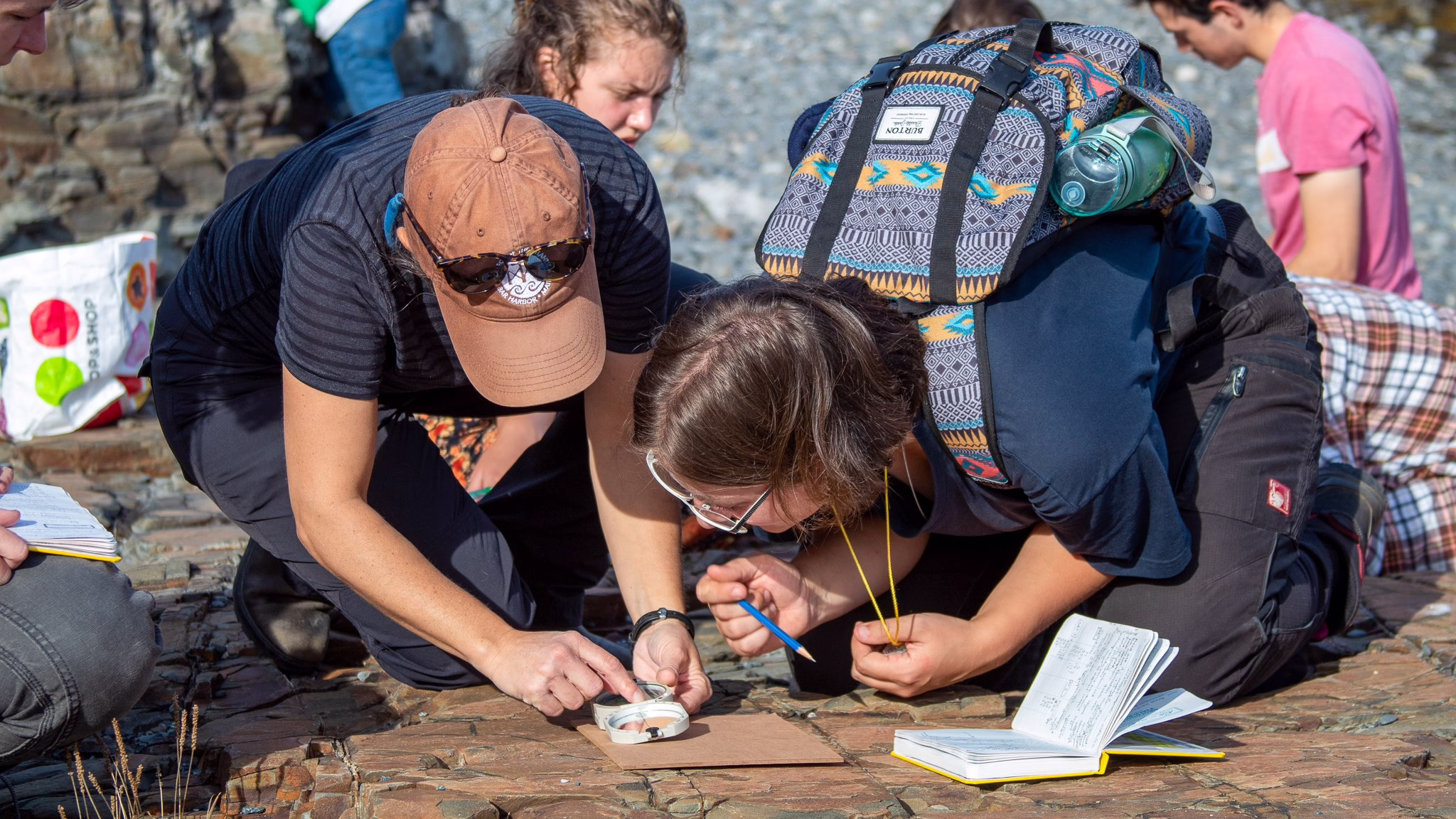 Students conducting field research outdoors.