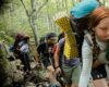 Group hiking through a forested area.