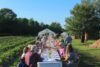 people seated at a long table in a field